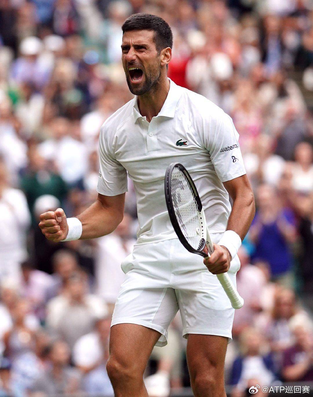 金时代的缩 金时代的缩